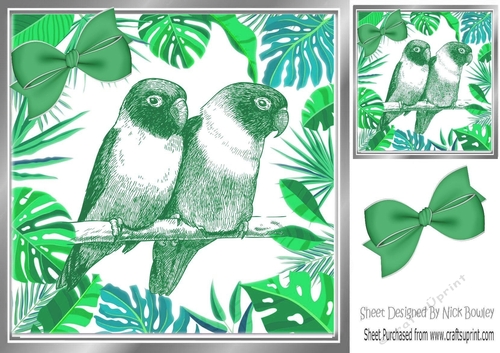 lovely sketch of a pair of love birds in green jungle leaf frame with bow 8x8