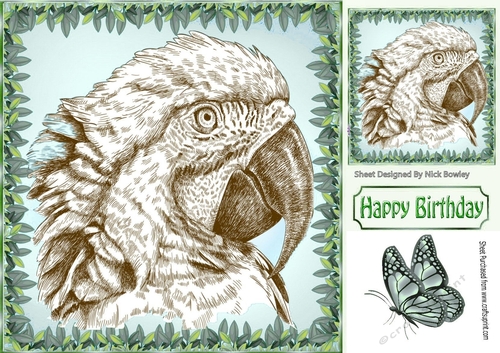 Lovely black and white sketch of a parrot in 8x8 leaf frame with butterflies