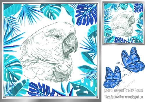 Lovely black and white sketch of a parrot in 8x8 blue leaf frame