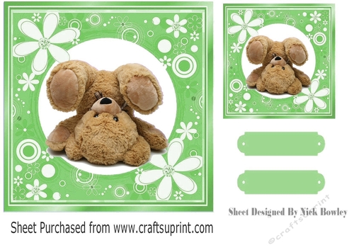 Green floral frame with upside down bear 7x7
