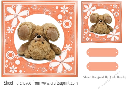 Orange floral frame with upside down bear 7x7
