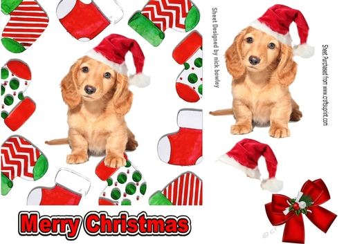 Cute puppy in santa hat in christmas sock frames 7x7