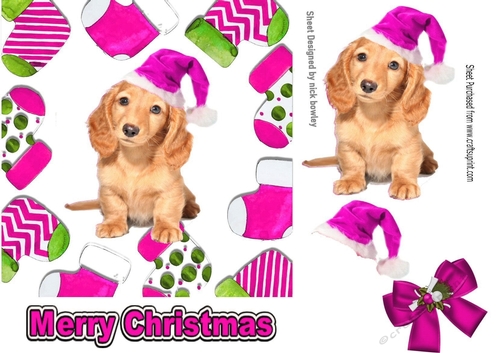 Cute puppy in pink santa hat in christmas sock frames 7x7