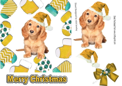 Cute puppy in gold santa hat in christmas sock frames 7x7
