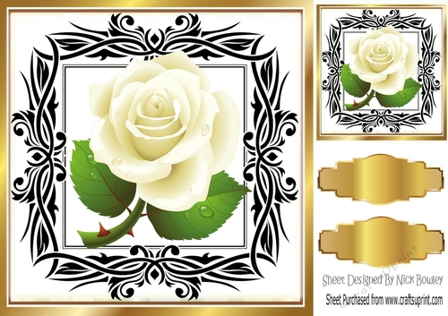 Cream roses in gold/black 8x8 frame