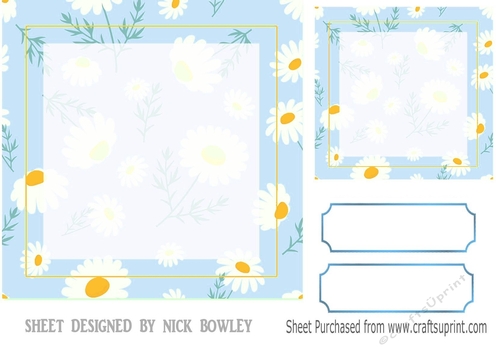 Pretty blue/daisy card/front/insert 7x7