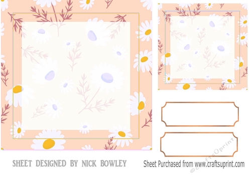 Pretty peach/daisy card/front/insert 7x7