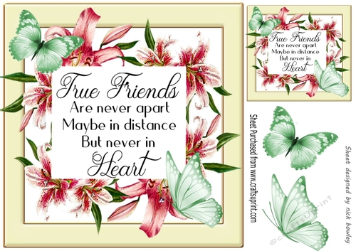 True friend verse! in pretty pink lily frame with butterflies 8x8