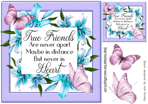 True friend verse! in pretty turq lily frame with butterflies 8x8