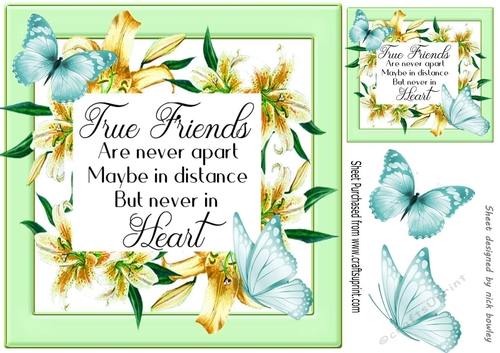 True friend verse! in pretty gold lily frame with butterflies 8x8