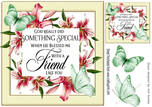Blessed friend verse! in pretty pink lily frame with butterflies 8x8