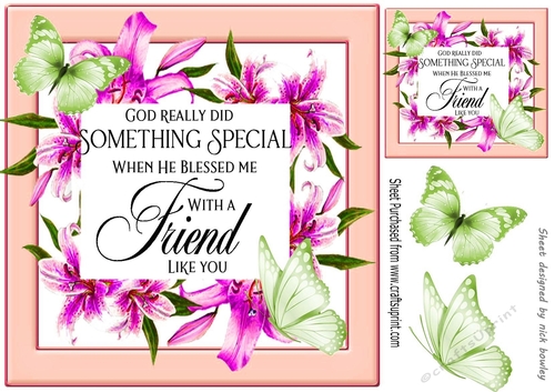 Blessed friend verse! in pretty pink/peach lily frame with butterflies 8x8