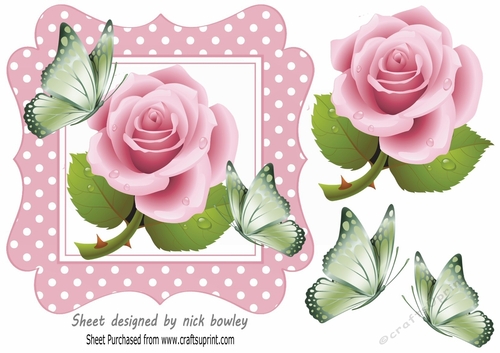 Pretty in pink polkadot 7x7 frame with pink roses