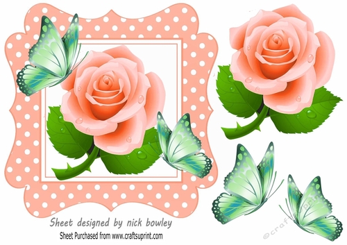 Pretty in peach polkadot 7x7 frame with peach roses