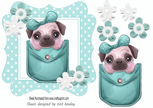 Cute pug in a turq denim pocket with turq polkadot 7x7 frame
