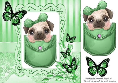 Cute pug in a green denim pocket with butterflies 8x8