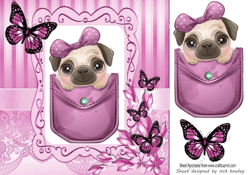 Cute pug in a pink denim pocket with butterflies 8x8