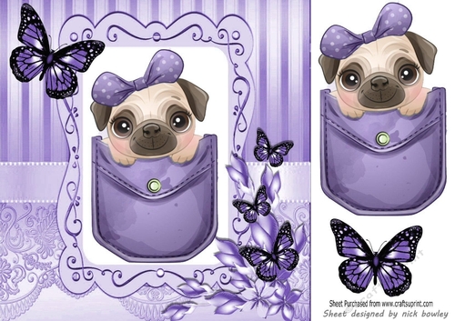 Cute pug in a purple denim pocket with butterflies 8x8