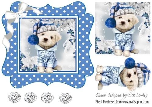 Cute pooch in blue polkadot 7x7 frame with bow