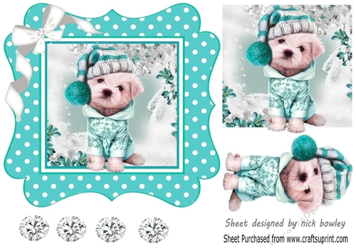 Cute pooch in turq polkadot 7x7 frame with bow