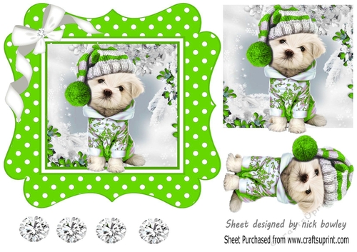 Cute pooch in green polkadot 7x7 frame with bow