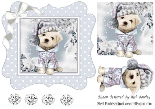 Cute pooch in silver polkadot 7x7 frame with bow