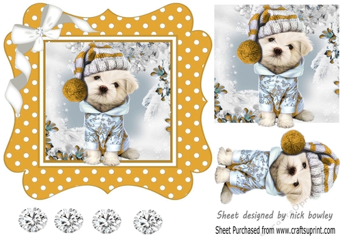 Cute pooch in gold polkadot 7x7 frame with bow