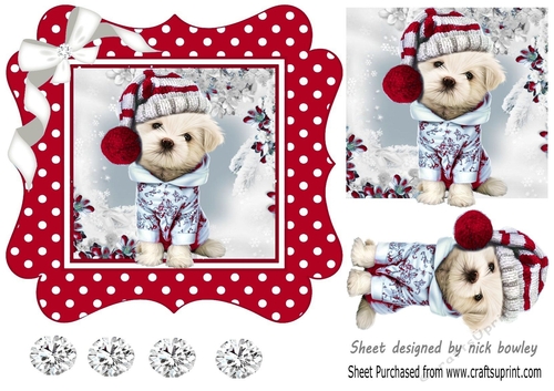 Cute pooch in red polkadot 7x7 frame with bow