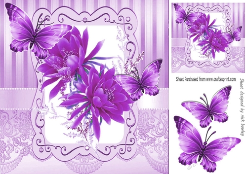 Pretty lilac flowers in ornate 8x8 frame with butterflies