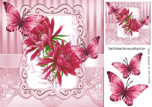 Pretty pink flowers in ornate 8x8 frame with butterflies