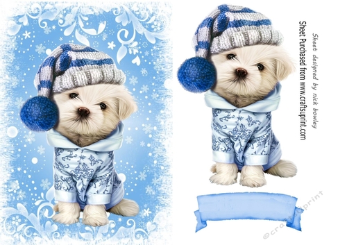 Cute puppy in blue christmas knitted hat A5