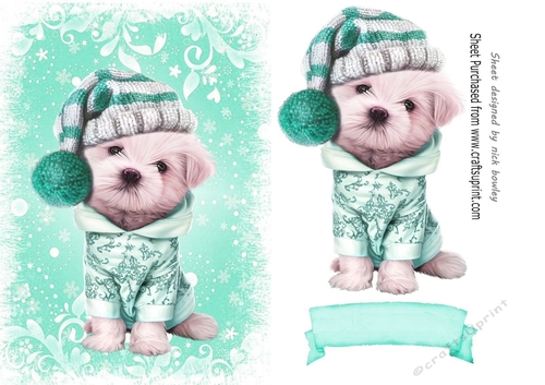 Cute puppy in turq christmas knitted hat A5