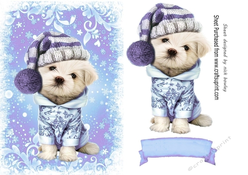 Cute puppy in purple christmas knitted hat A5