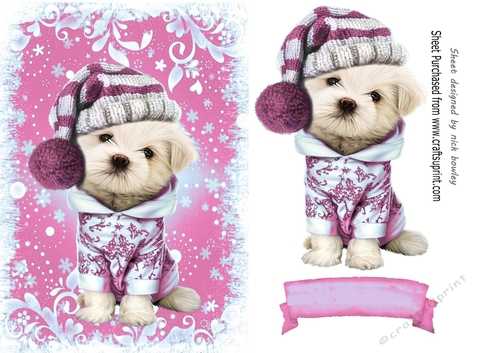 Cute puppy in pink christmas knitted hat A5