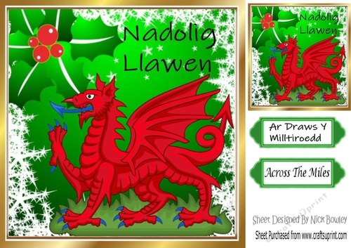 The welsh dragon in welsh lanuage, with christmas poinsettia 8x8