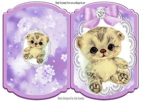 Cute littler kitten with lilac bow on lace bracket card