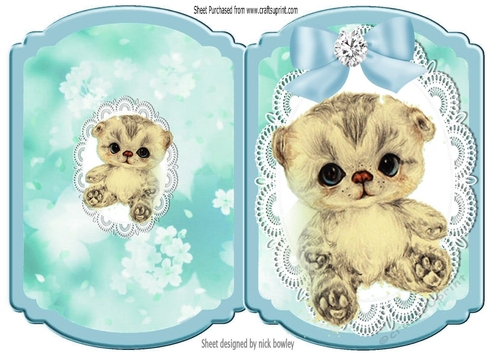 Cute little kitten with blue bow on lace bracket card