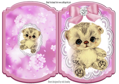 Cute little kitten with pink bow on lace bracket card