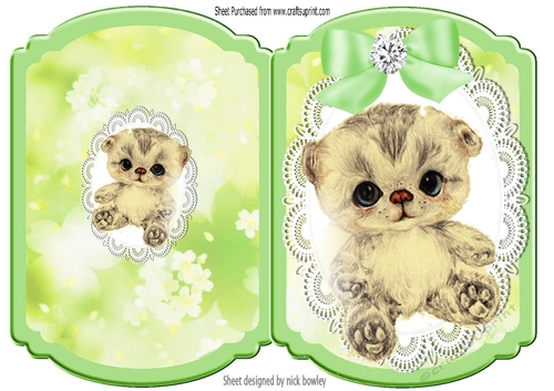 Cute little kitten with green bow on lace bracket card