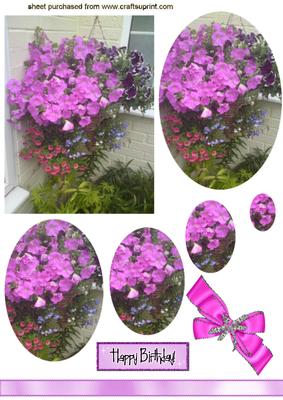 Purple Flowers Hanging Basket, Oval Pyramids