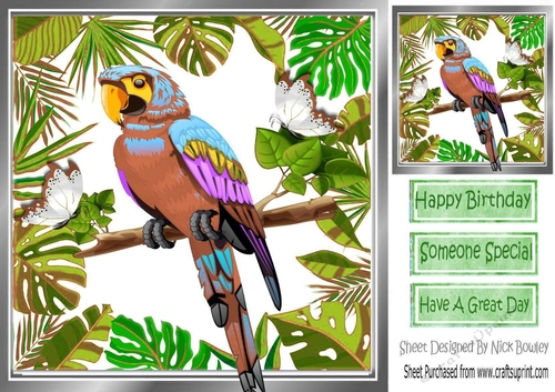 brown/blue painted parrot in tropical leaf frame 8x8