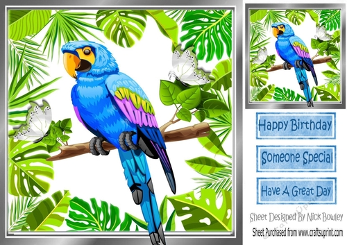 blue painted parrot in tropical leaf frame 8x8, with gift card/topper makes a lovely card