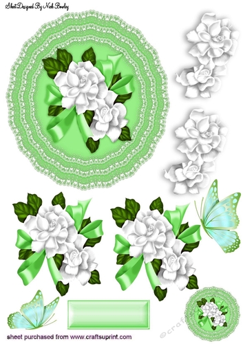 Pretty green lace doillie with white flowers cut out