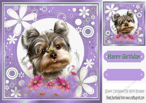 Cute little terrier with purple flower frame 8x8