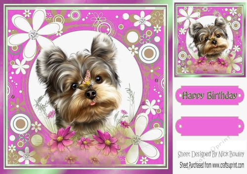 Cute little terrier in pink flower frame 8x8