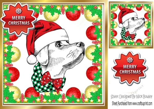 Lovely Dog in santa hat in bauble frame 8x8 (one)