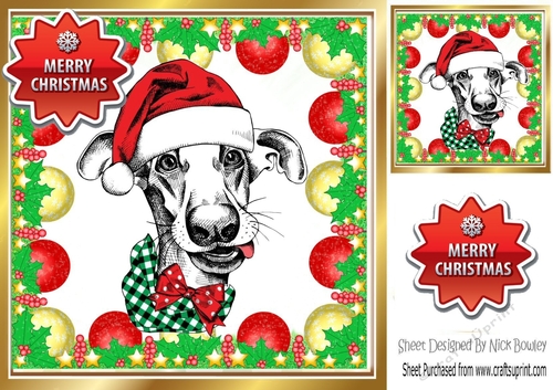Lovely Dog in santa hat in bauble frame 8x8 (three)