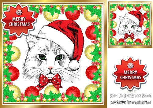 Lovely cat in santa hat in bauble frame 8x8 