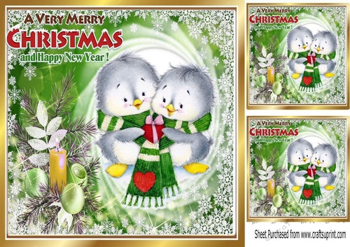 Cute pair of little birds  in winter scarf in green festive frame 8x8