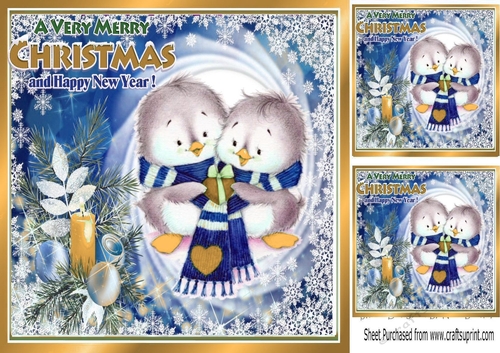 Cute pair of little birds  in winter scarf in blue festive frame 8x8